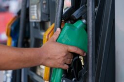Stát zavedl cenové stropy na pohonné hmoty. Paradoxně mohou vést k jejich dalšímu zdražení