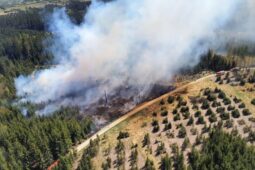 OBRAZEM: Rozsáhlý požár lesa u Třeště. S hašením pomáhá vrtulník