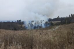 Při požáru lesa u Doubravice nad Svitavou byl vyhlášen třetí stupeň požárního poplachu