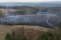 VIDEO: Podívejte se na video hasičů: Oheň v mladém lese, 3. stupeň poplachu a vrtulník v akci