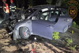 Policie hledá svědky tragické nehody u Uherského Ostrohu