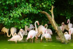 Zoo Zlín připravila Den Země s dílnami, krmením zvířat i soutěží