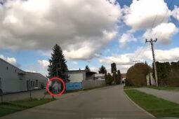 VIDEO: Po dramatickém pronásledování skončil řidič ve vazbě