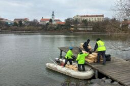 Příjemnější koupání: Proměna rybníka má zkrotit sinice a zlepšit kvalitu vodu