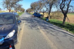 Střet aut na Havlíčkobrodsku. Jedno narazilo do stromu, zranila se řidička a dítě