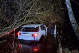 Noční nehoda u Herálce. Mladá řidička skončila s autem v rybníce