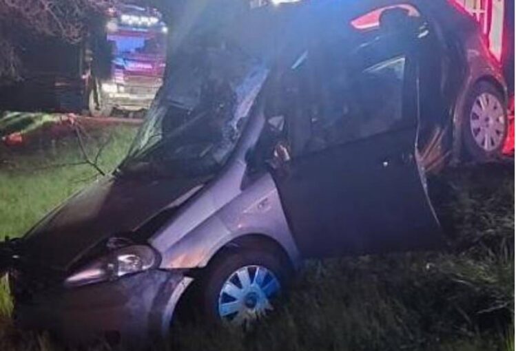 Vážná nehoda na Jihlavsku. Auto narazilo do stromu, řidiče transportoval vrtulník