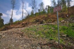 Tanky Leopard v akci. Výcvik na Libavé přinese výrazný hluk