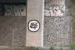 Strážníci přistihli sprejerky, které se právě fotografovaly u čerstvého graffity