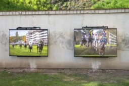 Parkán v novém. Muzeum otevírá výstavu Miloše Fice o pardubických dostizích