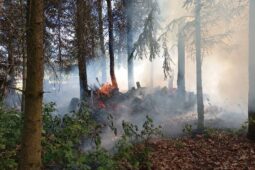 Požár v Nové Pace: muž se nadýchal kouře, hrozilo rozšíření
