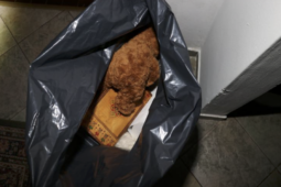 Kradli kola, okapy i plyšového medvídka. Policie v Plzni zadržela čtyři muže