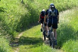 Cyklovýlet Vysočinou bez dřiny. Část trasy zvládnete autobusem či vlakem