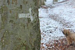 Zlínský kraj přispěje na značení turistických tras