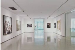 Beseder Gallery