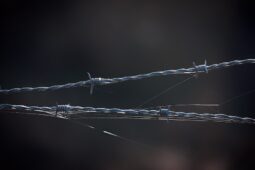 Vězeň na Českolipsku utekl z práce okénkem na WC, policisté ho dopadli do hodiny