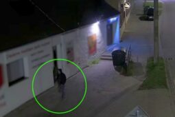 VIDEO: Řidič po nárazu do sloupu utekl. Policisté hledají důležitého svědka nehody 