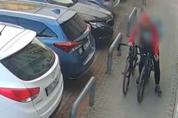 VIDEO: Pod maskou kurýra kradl, co se dalo 