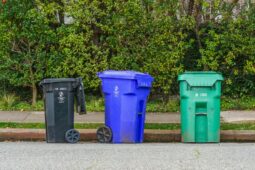 Češi vytřídili rekordní množství odpadu. Největší rezervy zůstávají u bioodpadu a plechovek