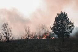 Požáry sílí, krajinu trápí sucho. Dle odborníků se situace v budoucnu bude zhoršovat