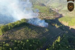Oheň pohltil tři hektary mladého lesa u Rusavy, hasiči nasadili i vrtulník