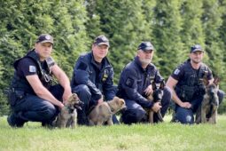 Policejní psovodi mají v týmu 4 nová štěňata. Je to s nimi jako s miminky, říká mluvčí