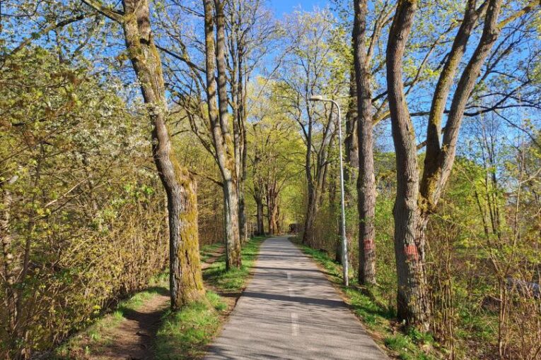 Začíná oprava cyklostezky, pro chodce a cyklisty je připravena náhradní trasa