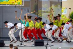 Přijměte pozvání na 28. Mezinárodní dětský folklorní festival Štěpy ve Veselí nad Moravou