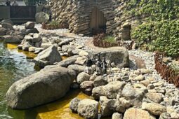 Tučňáci mění adresu. Ve zlínské zoo obsadili bývalé království lachtanů