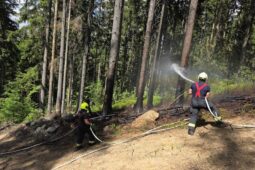 Hasiči bojovali se dvěma lesními požáry. Hořelo na Jablonecku i Českolipsku