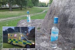 Čtveřice teenagerů na dvě lahve vodky. Nejmladšího odvezla sanitka