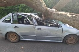 OBRAZEM: Na Olomoucku spadl na projíždějící auto mohutný strom