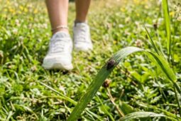 Jak vybrat správný repelent proti klíšťatům  a neuškodit si jeho aplikací