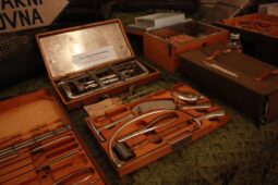 Veterinární muzeum na Grabštejně odhaluje fascinující svět vojenských veterinářů