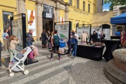Praha ukazuje cestu ke klimaticky odolnějšímu městu. Nová výstava zamíří do všech částí metropole