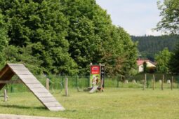 Psí hřiště ve Dvoře Králové nabídne den plný rad a tréninku