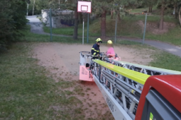 Papoušek utekl na strom a odmítal spolupracovat. Majitelka si pro něj dojela hasičskou plošinou