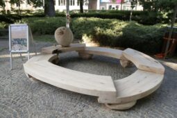 Ze dřeva vzniknou nová broukoviště. Prostějov chystá dřevosochání