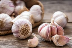 Zloděj během noci sklidil 200 kilogramů česneku