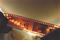 Zlínské filmové léto nabídne čtrnáct večerů promítání pod širým nebem