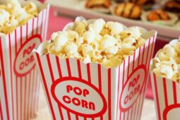 Milovníci filmů se mohou opět těšit na letní kino