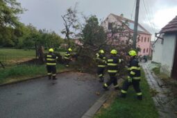Na silnici I/43 mezi Kuřimí a Lipůvkou zasáhl projíždějící auto padající strom