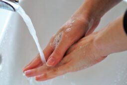 Žloutenka v Jihomoravském kraji mírně klesla, přesto jde stále o epidemii