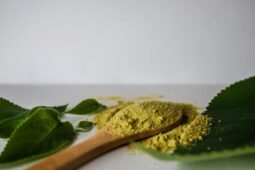 Stop kratomu? Vláda chce vyšší věkovou hranici pro jeho užití. Zaznívají hlasy, že by měla platit i pro alkohol
