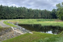 Na Křivoklátsku úspěšně zadržují tisíce kubíků vody. Lesní nádrže prošly rozsáhlou obnovou