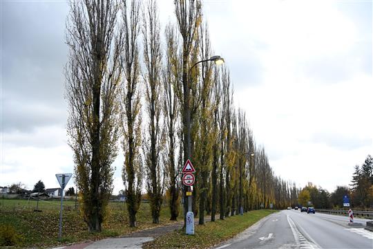 Foto: Město Písek