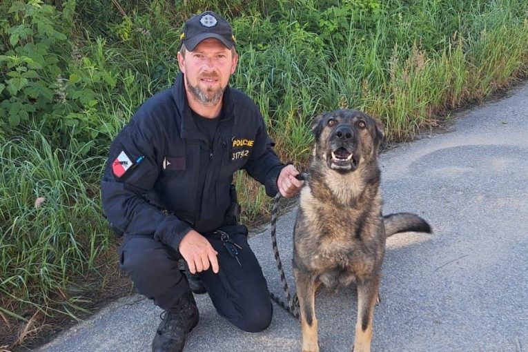 Foto: Policie ČR - KŘP Jihočeského kraje