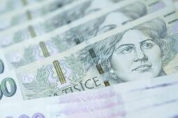 Chtěla poslat podvodníkům 720 tisíc korun. Bankéři zasáhli na poslední chvíli
