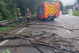 V Novém Městě se zřítil strom na jedoucí auto, řidič neměl šanci zareagovat