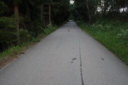 Těžce zraněný cyklista při nehodě u Tasova. Policie hledá svědky